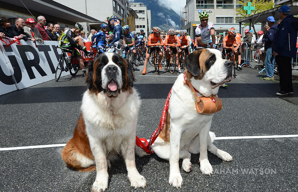 Tour-de-Suisse-30001.jpg